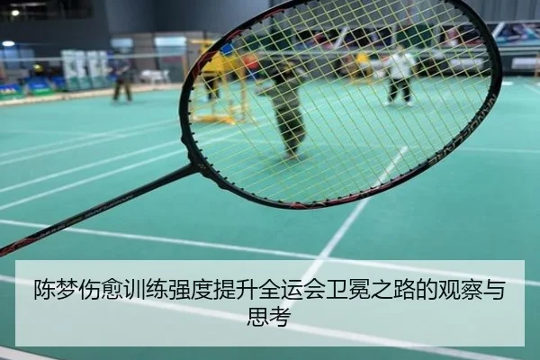 陈梦伤愈训练强度提升全运会卫冕之路的观察与思考
